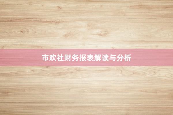 市欢社财务报表解读与分析