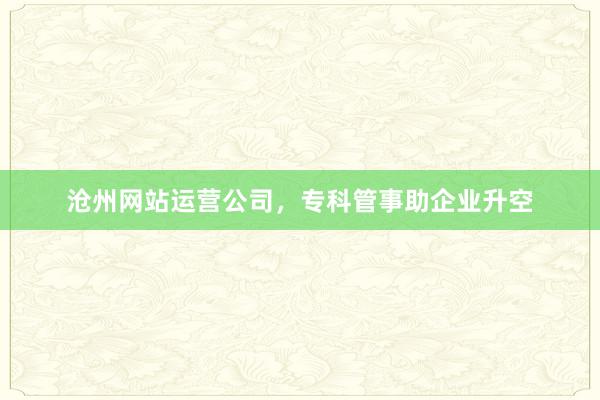 沧州网站运营公司，专科管事助企业升空