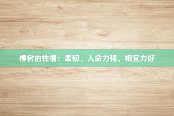 柳树的性情：柔韧、人命力强、相宜力好